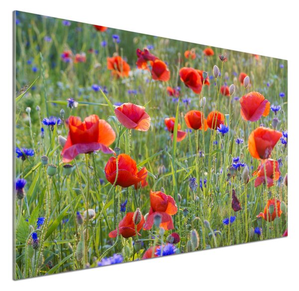 Dekorační panel sklo Plolní květiny pksh-65958845