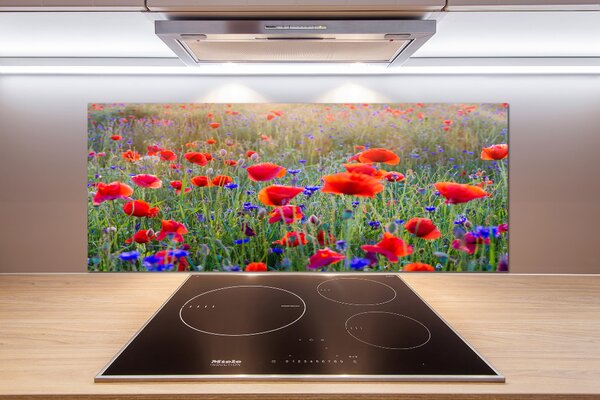 Dekorační panel sklo Plolní květiny pksh-65959167