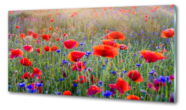 Dekorační panel sklo Plolní květiny pksh-65959167