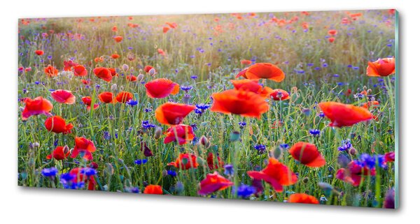 Dekorační panel sklo Plolní květiny pksh-65959167