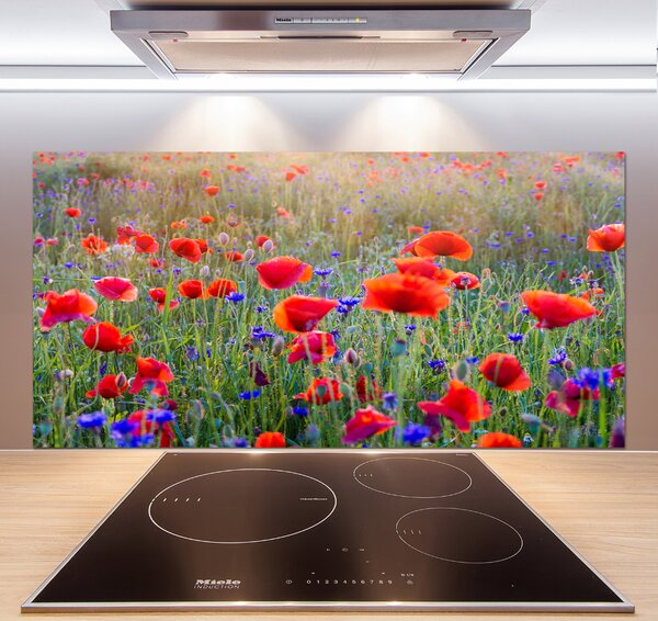 Dekorační panel sklo Plolní květiny pksh-65959167
