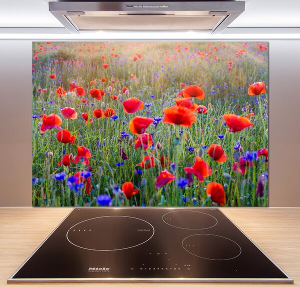 Dekorační panel sklo Plolní květiny pksh-65959167