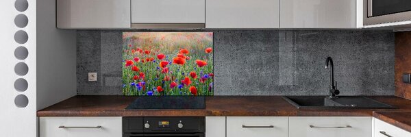 Dekorační panel sklo Plolní květiny pksh-65959167