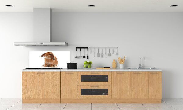 Dekorační panel sklo Červený králík pksh-65984756