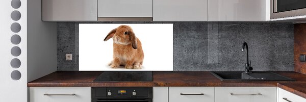 Dekorační panel sklo Červený králík pksh-65984756