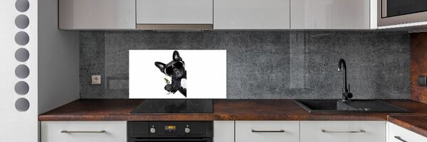 Panel do kuchyně Pes s martini pksh-65998306