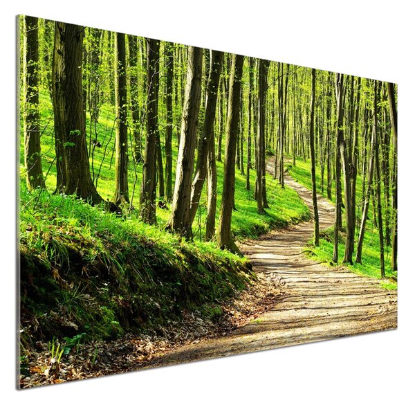 Panel do kuchyně Stezka v lese pksh-66127033