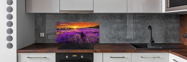 Dekorační panel sklo Pole levandule pksh-66255723