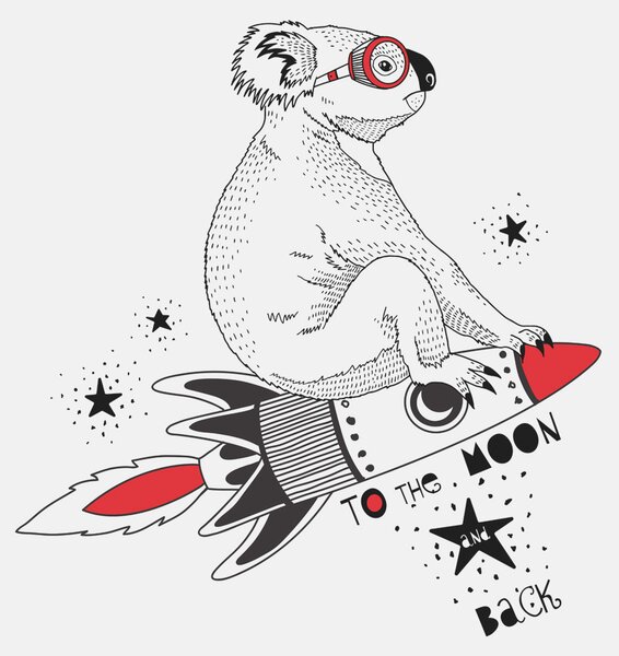 Fototapeta Koala na raketě, Fototapety se zvířaty, Populární fototapety, w00151 - Tapeko.co.cz