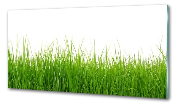 Skleněný panel do kuchyně Tráva pksh-66476309