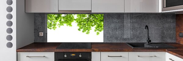 Dekorační panel sklo Listí dubu pksh-66522437
