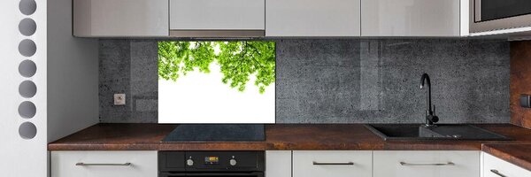 Dekorační panel sklo Listí dubu pksh-66522437