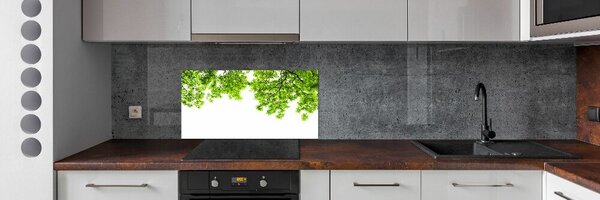 Dekorační panel sklo Listí dubu pksh-66522437