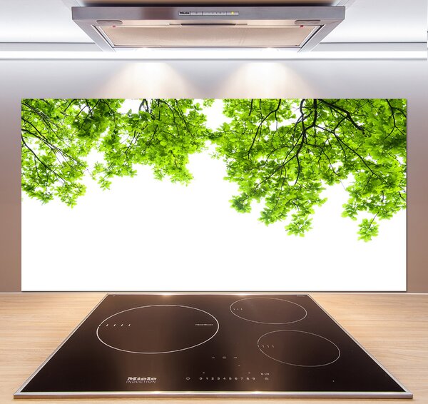 Dekorační panel sklo Listí dubu pksh-66522437