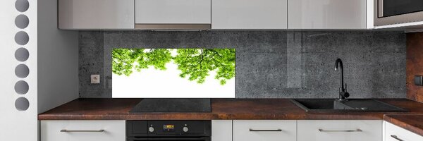 Dekorační panel sklo Listí dubu pksh-66522437