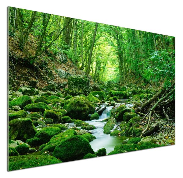 Panel do kuchyně Pramen v lese pksh-66843230