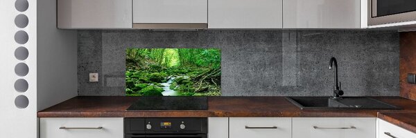 Panel do kuchyně Pramen v lese pksh-66843230