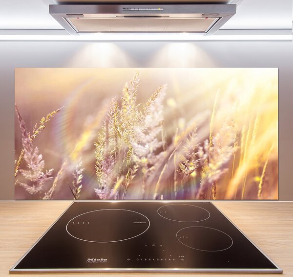 Dekorační panel sklo Vysoká tráva pksh-66866961