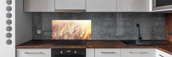 Dekorační panel sklo Vysoká tráva pksh-66866961