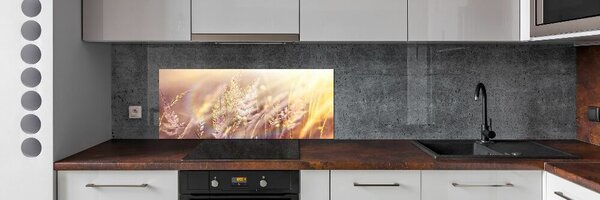 Dekorační panel sklo Vysoká tráva pksh-66866961