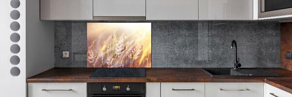 Dekorační panel sklo Vysoká tráva pksh-66866961