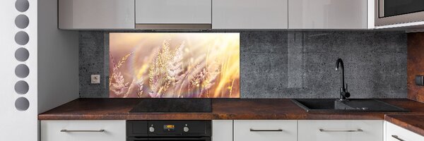 Dekorační panel sklo Vysoká tráva pksh-66866961