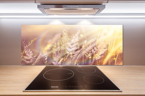 Dekorační panel sklo Vysoká tráva pksh-66866961