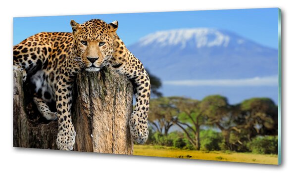 Panel do kuchyně Leopart na kmeni pksh-66888484