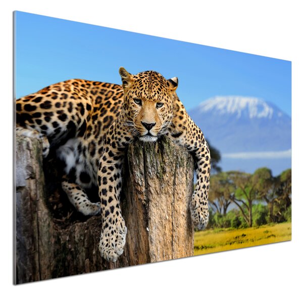 Panel do kuchyně Leopart na kmeni pksh-66888484