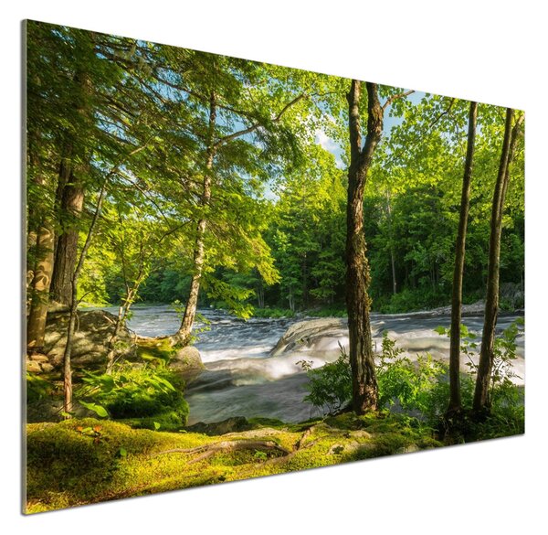 Panel do kuchyně Řeka v lese pksh-66915556