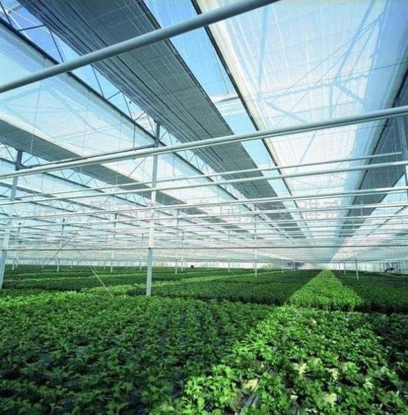EKSPAND Stínící síť 1,5 x 25 m 60% stín ZELENÁ + 200 ks stahovací pásky ZDARMA