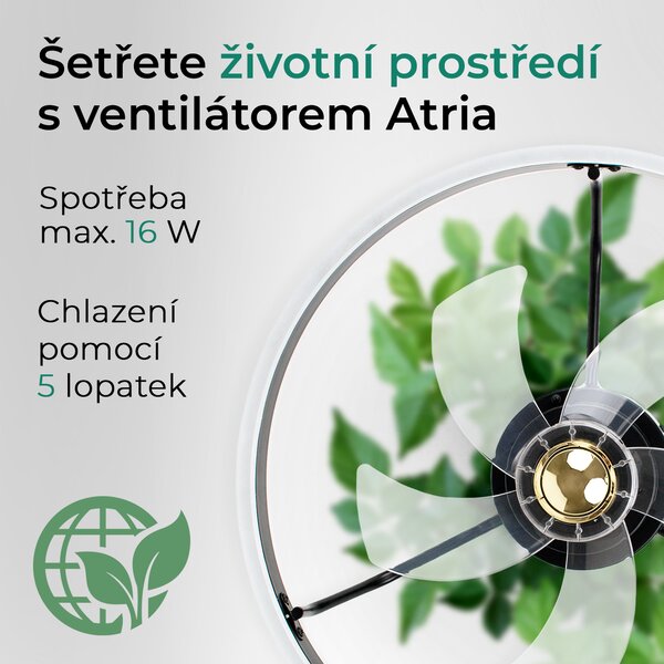 Noaton 16050B (2024) Atria, černá, stropní ventilátor se světlem (Použitý, Záruka 21 měsíců)