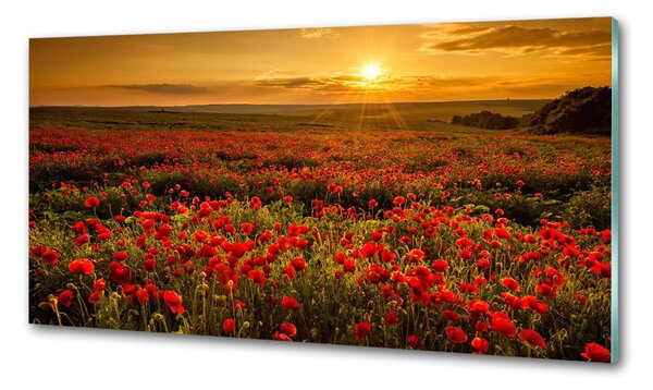 Dekorační panel sklo Pole máků pksh-67034029