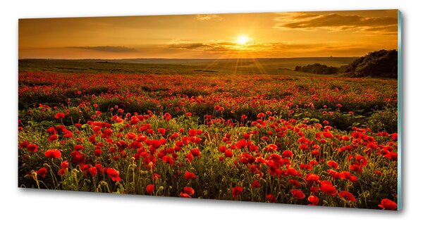 Dekorační panel sklo Pole máků pksh-67034029