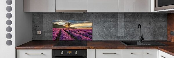 Dekorační panel sklo Pole levandule pksh-67085325