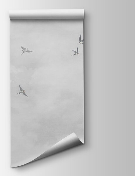 Fototapeta Skupina ptáků letících na obloze, Nebeské fototapety, Populární fototapety, w00526v1 - Tapeko.co.cz