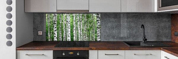Skleněný panel do kuchyně Břízy pksh-67318177