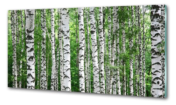 Skleněný panel do kuchyně Břízy pksh-67318177