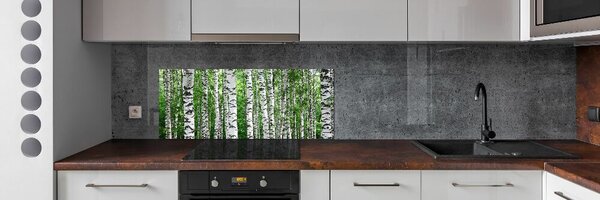 Skleněný panel do kuchyně Břízy pksh-67318177