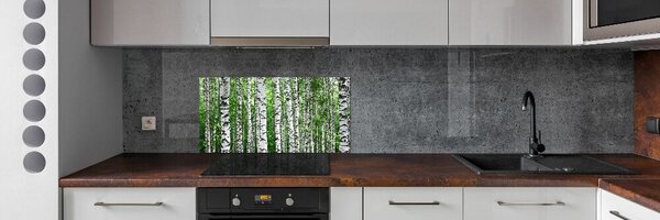Skleněný panel do kuchyně Břízy pksh-67318177