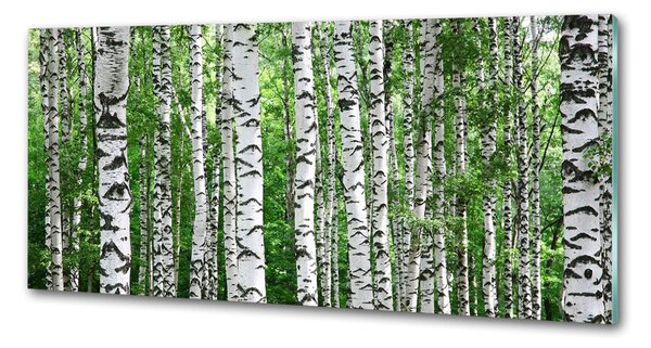 Skleněný panel do kuchyně Břízy pksh-67318177