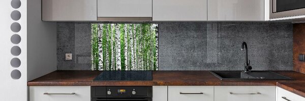 Skleněný panel do kuchyně Břízy pksh-67318177