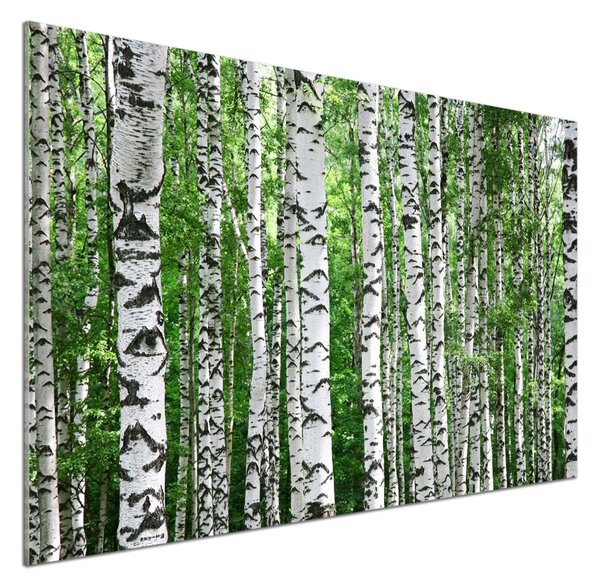 Skleněný panel do kuchyně Břízy pksh-67318177