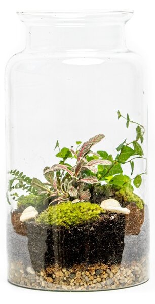 Skleněná váza DIGITALIS se zúženým otvorem - výška 35 cm, průměr 19 cm - osázené vlhkomilně