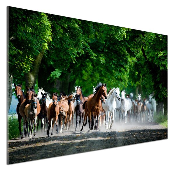 Panel do kuchyně Koně ve cvalu pksh-67489944