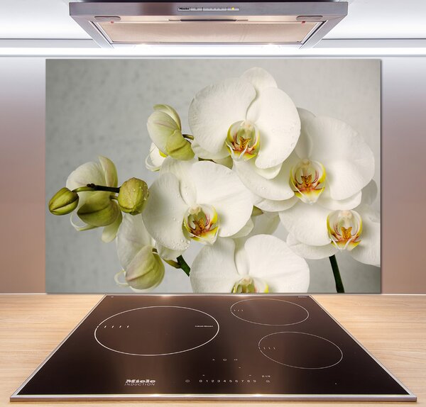 Panel do kuchyně Bílá orchidej pksh-67521473