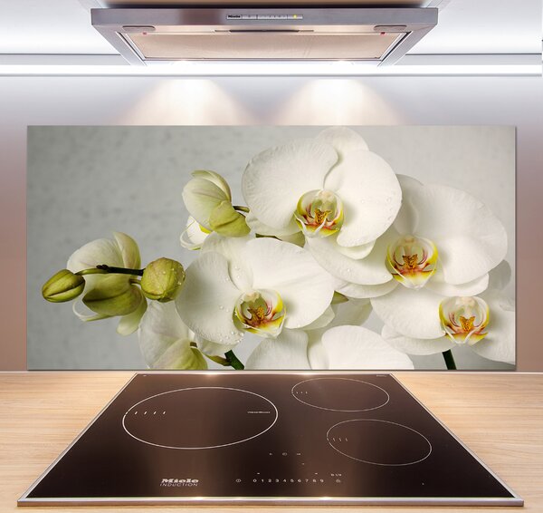 Panel do kuchyně Bílá orchidej pksh-67521473