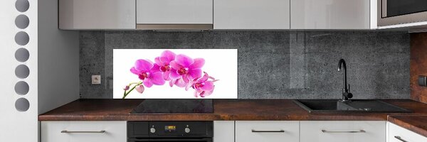 Panel do kuchyně Růžová orchidej pksh-67673367