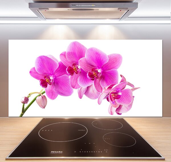 Panel do kuchyně Růžová orchidej pksh-67673367