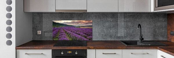 Dekorační panel sklo Pole levandule pksh-67657523